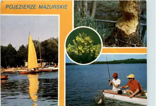 Pojezierze Mazurskie - Fishing -205478