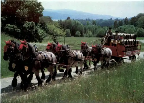 Pferdekurtsche - Bier -204262
