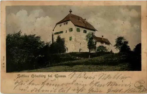 Schloss Oberburg bei Gossau -179406