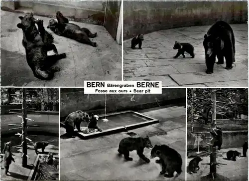 Bern - Bär -205542