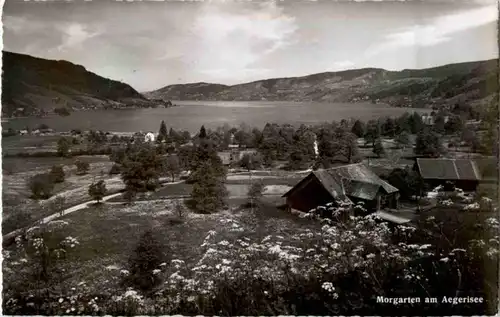 Morgarten am Aegerisee -180328
