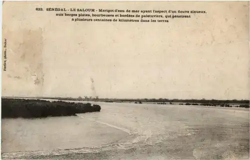 Senegal - Le Saloum -182872