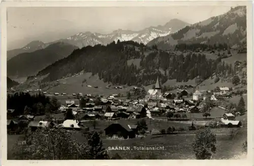 Saanen -207992