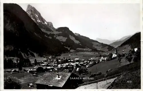 Saanen mit Rübli -208040