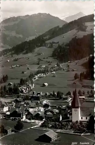 Saanen -208036