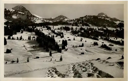 Saanenmöser - Skifelder am Hornberg -207814