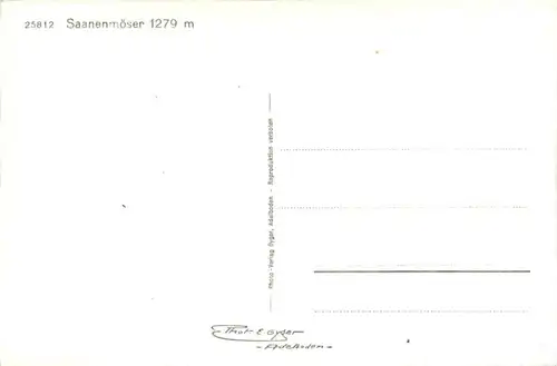 Saanenmöser -207818