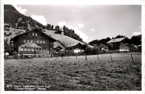 Saanen - Chalet Staldenfluh -208048