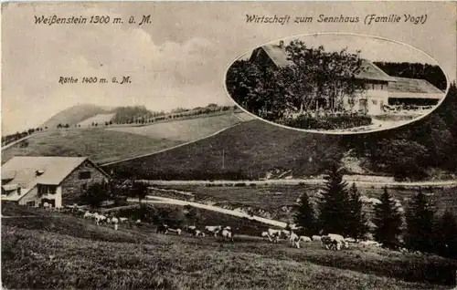 Weissenstein -187630