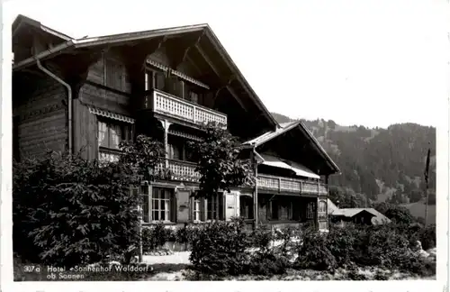 Saanen - Hotel Sonnenhof Walddorf -208030