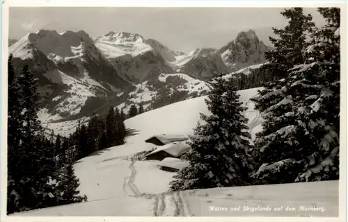 Schönried - Hütten und Skigelände auf dem Hornberg -208094