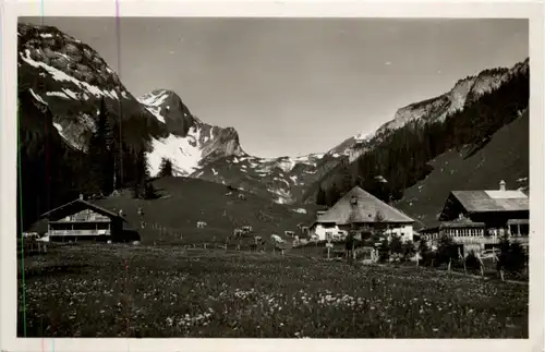 Lenk - Iffigenalp -208136