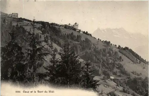 Caux et la Dent du Midi -209590