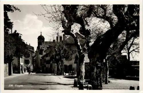 Coppet -209454