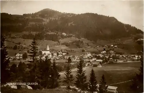 Gessenay Saanen -208046