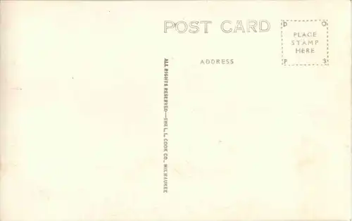 Bear - Wisconsin -14342