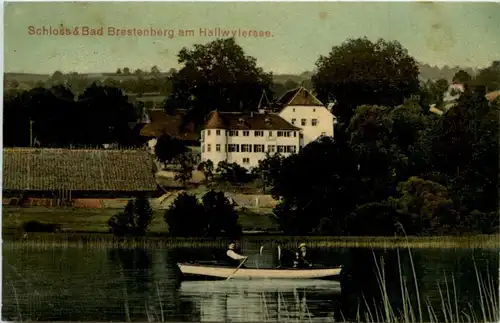 Schloss und Bad Brestenstein am Hallwilersee -209896