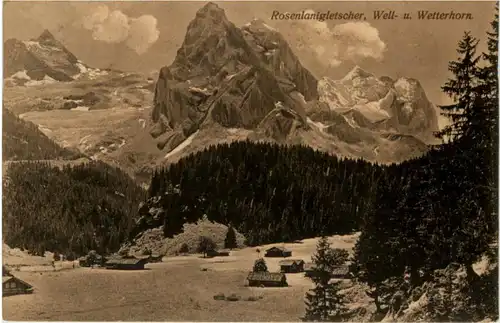 Rosenlanigletscher -209964