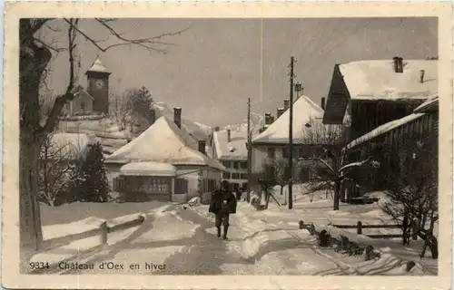 Chateau d Oex en hiver -209622