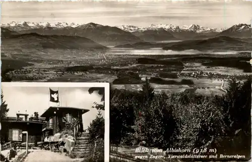 Blick vom Albishorn -210270