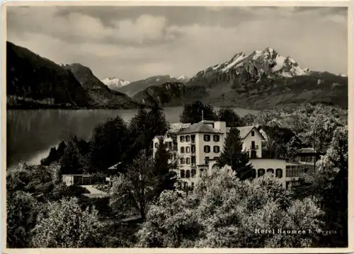 Weggis - Hotel Baumen -210872