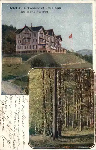 Hotel du Belvedere et Sous bois au Mont Pelerin -209716