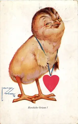 Kücken - Awson Wood -87878