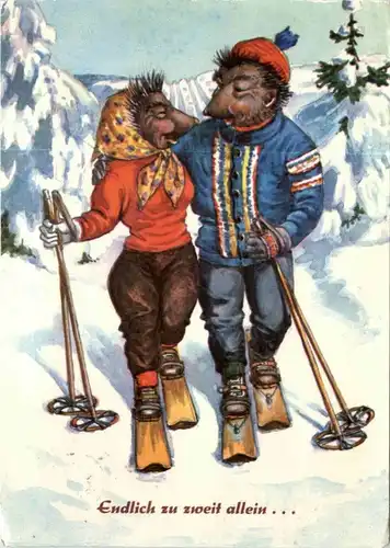 Igel Skifahren -211554