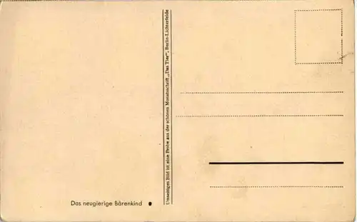 Bär -88216