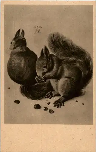 Eichhörnchen -88220