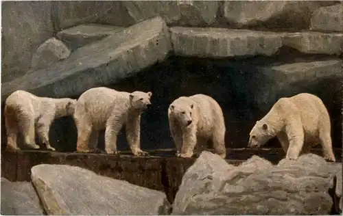 Hamburg - Eisbären - Polarbear -88218