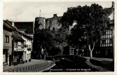 Münstereifel - Erftpartie -85260