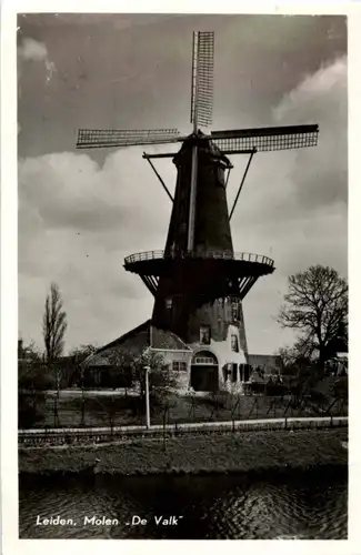 Leiden - Molen -85860