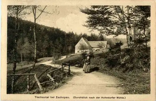 Tischautal bei Zschopau -85302