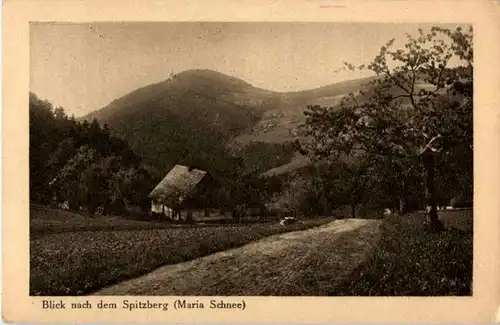 Wölfelsgrund - Blick nach dem Spitzberg -85748
