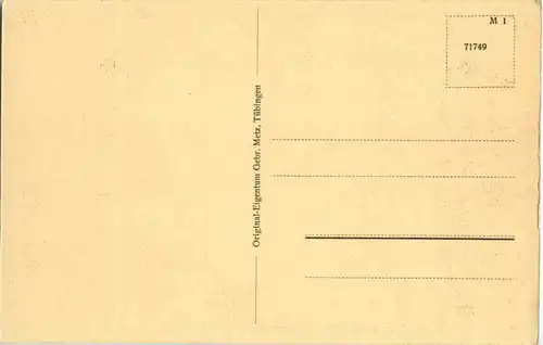 Donaueschingen - Partie mit Rathaus -85984