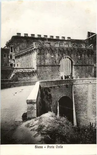 Siena - Porta Ovile -86488