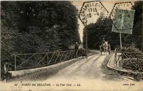 Foret de Belleme -12664