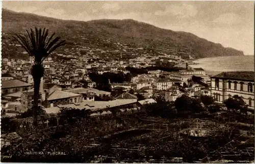 Madeira - Funchal -12826