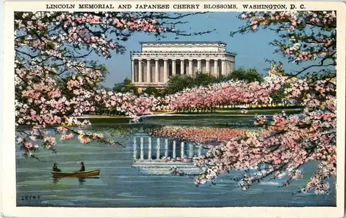 Washington DC -13616