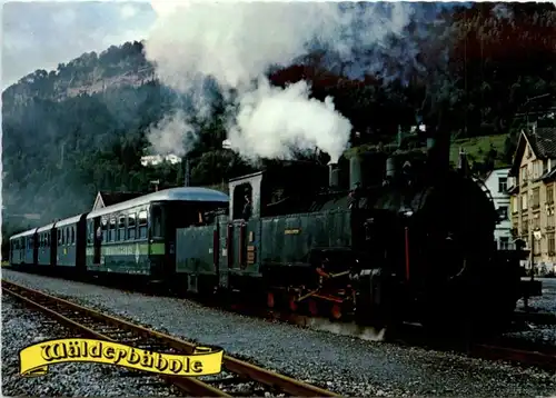 Wälderbähnle - Eisenbahn -214450