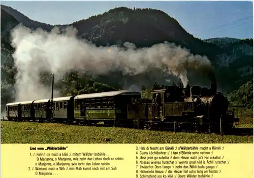 Wälderbähnle - Eisenbahn -214452