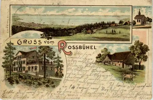 Gruss vom Rossbühel bei Grub - Litho -216048