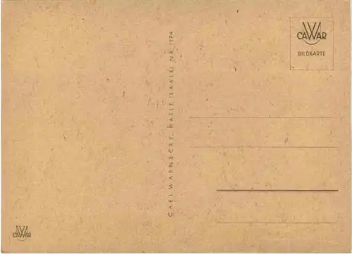 Kind mit Gitarre und Katze -215158