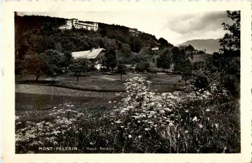 Mont Pelerin -182142