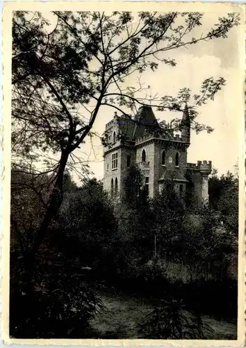 Sint Mariaburg - Blauwvoelburcht -215682