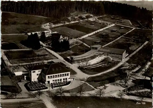 Zürich - Zoo -216416