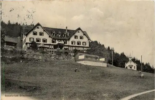 Braunwald Sanatorium -216148