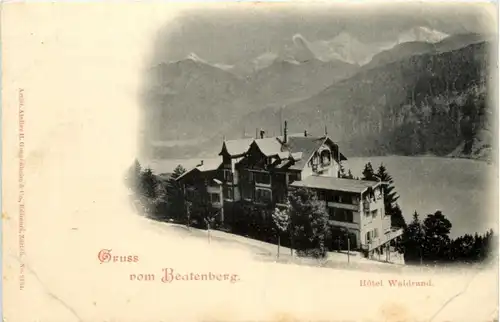 Gruss aus Beatenberg - Hotel Waldrand -216406