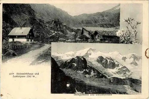 Sustenpass - Steinwirtshaus -216524